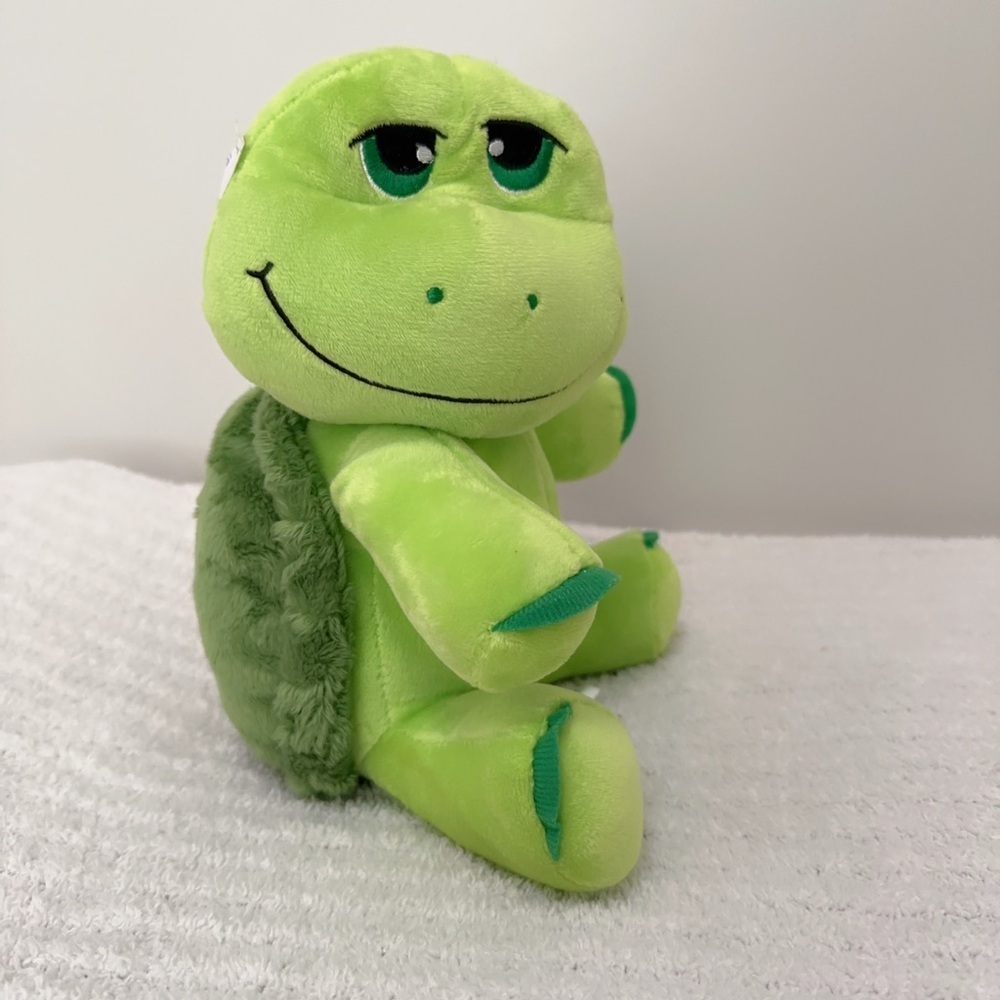 Green Stuffed Turtle Toy